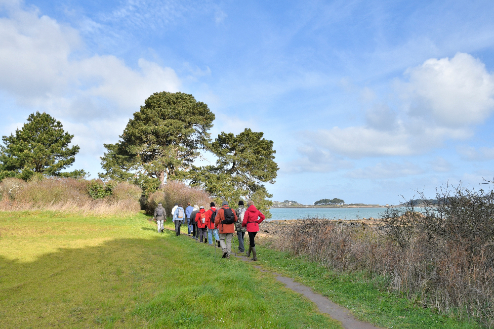 Patientenleitlinie COPD (PDF)