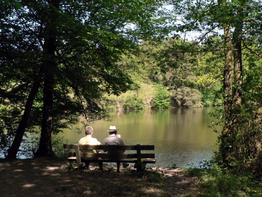 Depression - Angehörige und Freunde