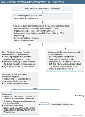 Abbildung 8: Weitergehende Versorgung des Asthmaanfalls: im Krankenhaus Abbildung 8: Weitergehende Versorgung des Asthmaanfalls: im Krankenhaus