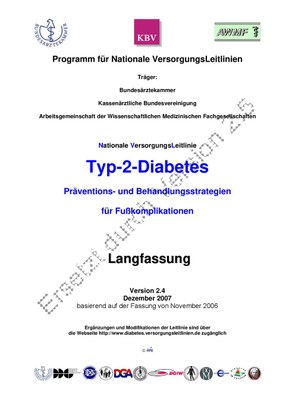 dm2-fuss-lang-2.4.pdf